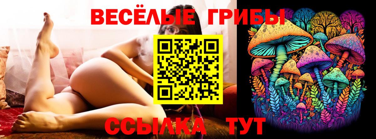 Нижнекамск  Галлюциногенные грибы ЛСД  купить наркоту  Вход с VPN 