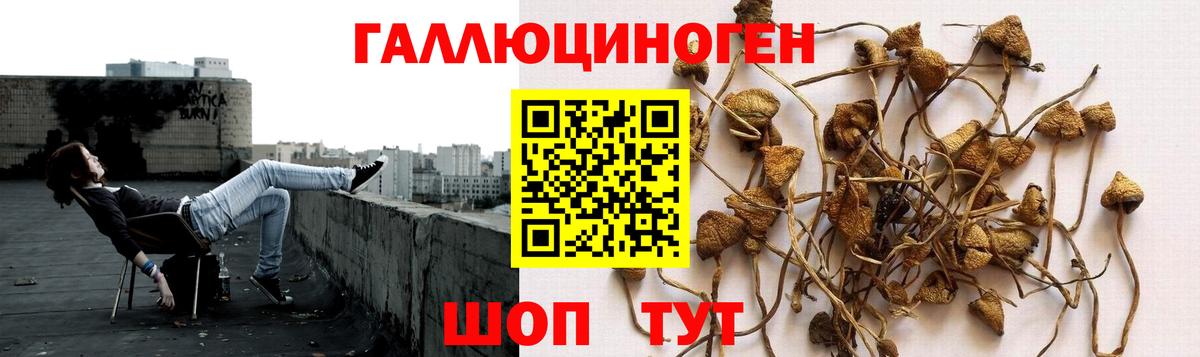 Галлюциногенные грибы прущие грибы Нижнекамск